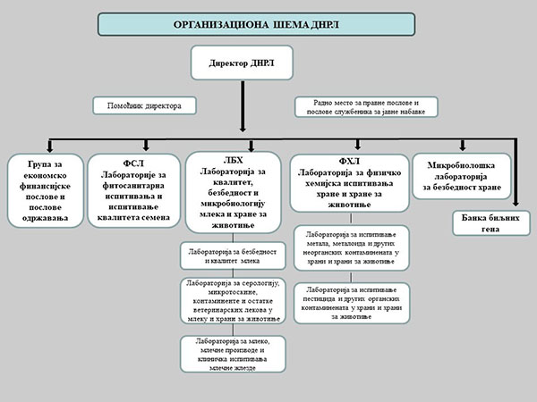 organizaciona struktura